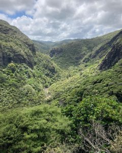 Auf dem Edmund Hillary Track