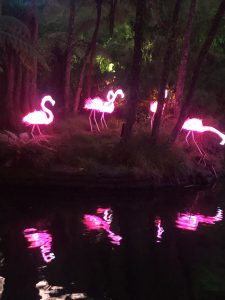 Lichterfest im Pukekura Park