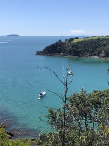 Waiheke Island