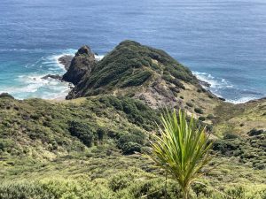 Cape Reinga