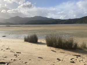Abel Tasman Track