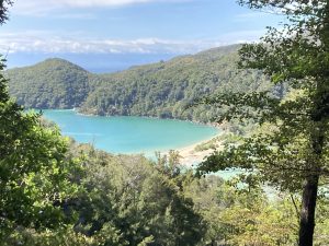 Abel Tasman Track