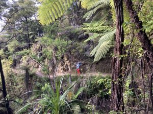 Abel Tasman Track