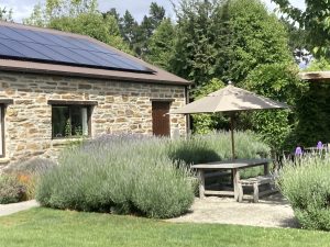 Wanaka Lavender Farm