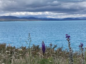 Lake Tekapo