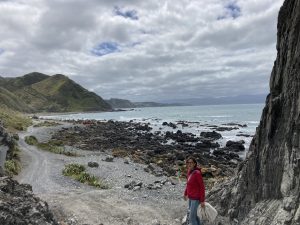 Wanderung südlich von Wellington