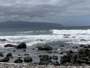 Wanderung südlich von Wellington