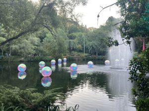 Lichterfest im Pukekura Park