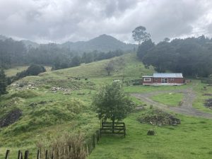 Coromandel Peninsula