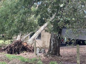 Auswirkung von "Gabrielle"