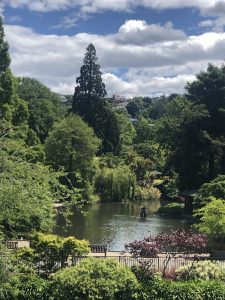 Botanischer Garten Dunedin
