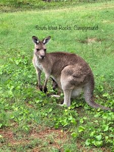 Akaroon Nationalpark