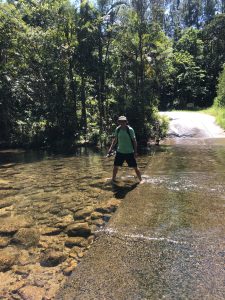 Eungella Nationalpark