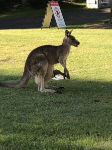 Akaroon Nationalpark