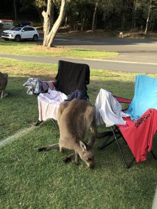 Akaroon Nationalpark