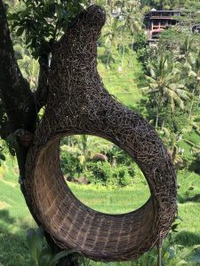 Tegallalang Reis Terrassen