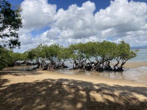 Agnes Water /Town of 1770