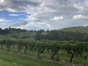 Hunter Valley