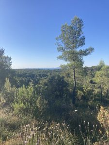 Provence-Alpes-Côte d’Azur