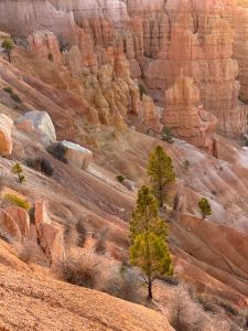 Bryce Canyon