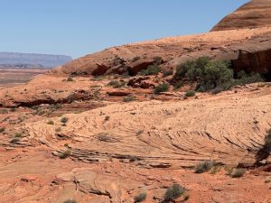 Bei den Hanging Gardens