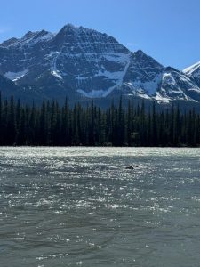 Icefields Parkway