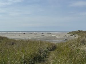 Ocean Shores