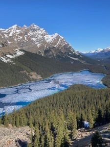 Lake Peyto