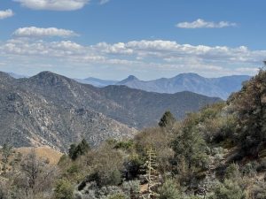 Sequoia National Forest