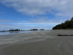 Tofino