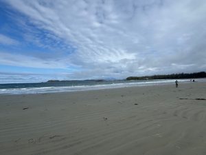 Tofino