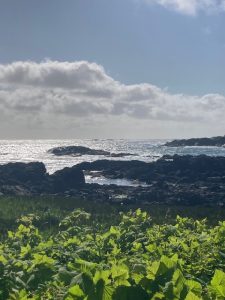 Ucluelet