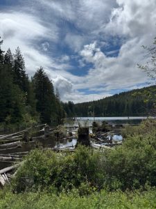 Westwood Lake