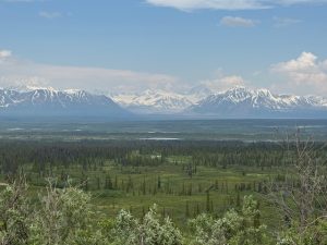 Denali Highway