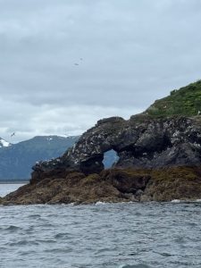 Gull Island Bird Rookery