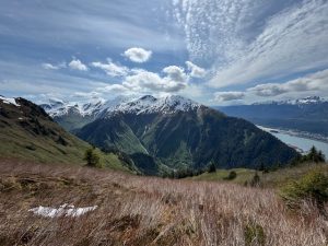 View from Mt. Juneau