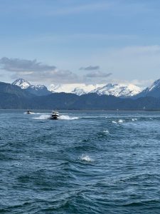 Kachemak Bay