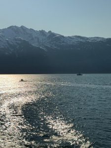 Prince William Sound